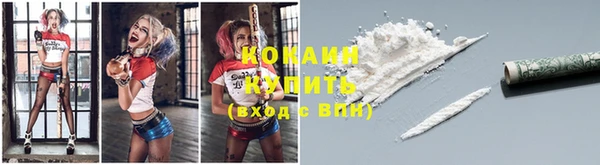 дурь Билибино